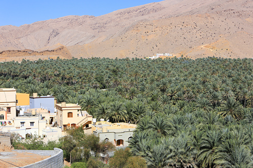 New Valley