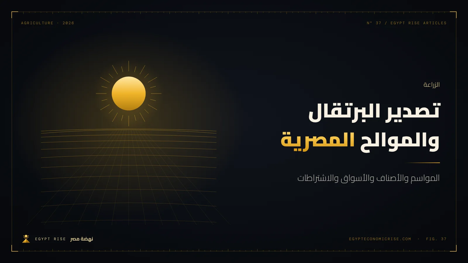 صناديق برتقال مصري معبأة للتصدير داخل محطة تعبئة