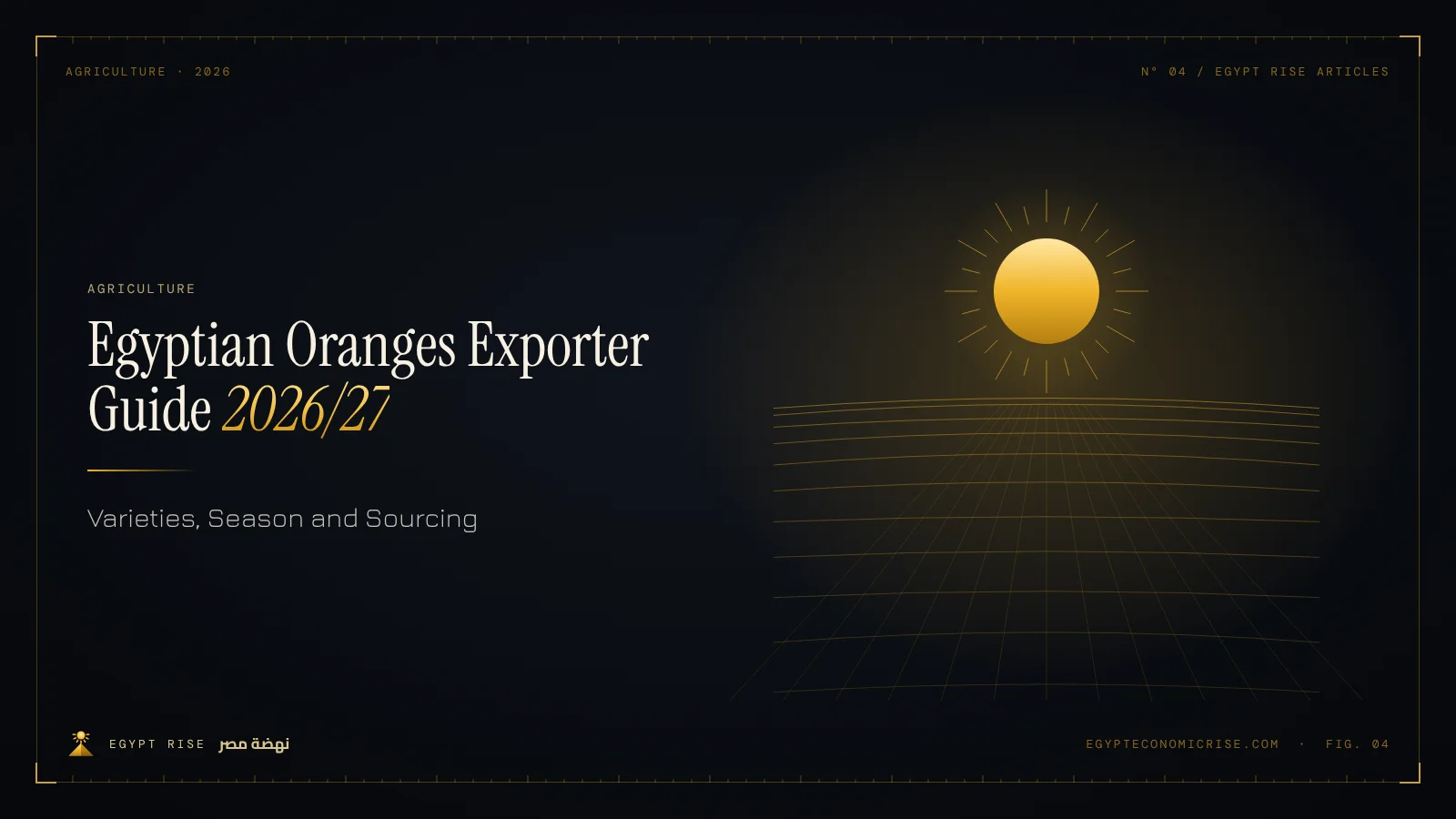 Valencia oranges being packed in cartons at an Egyptian citrus packhouse for export