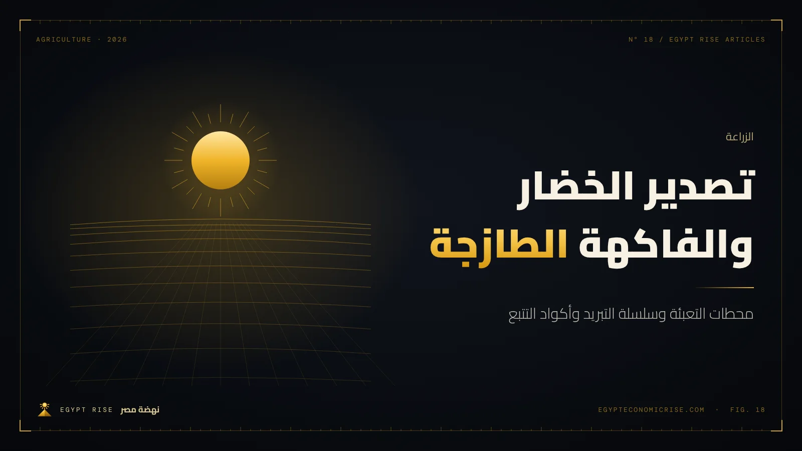 خط فرز وتعبئة خضار وفاكهة طازجة داخل محطة تعبئة مبردة في مصر